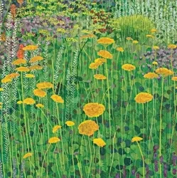 Karnet z kopertą Kosańce - Susan Entwistle