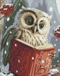 Diamentowa mozaika - Sprytna sowa 40x50cm - Ideyka