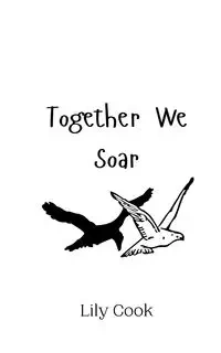 Together We Soar - Lily Cook
