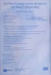 Zestaw plansz konturowych do pracy grupowej Młodzse dzieci Część 1 - Wydawnictwo Szkolne PWN