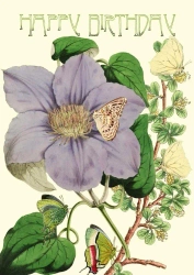 Karnet B6 brokat z kopertą Urodziny Powojnik - Madame Treacle