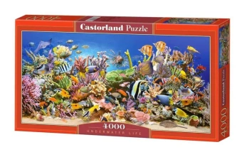 Puzzle 4000 Podwodne życie CASTOR - Castorland