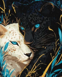 Malowanie po numerach - Yin Yang 40x50cm - Ideyka