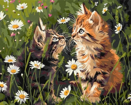 Malowanie po numerach - Koty w kwiatach 40x50cm - Ideyka