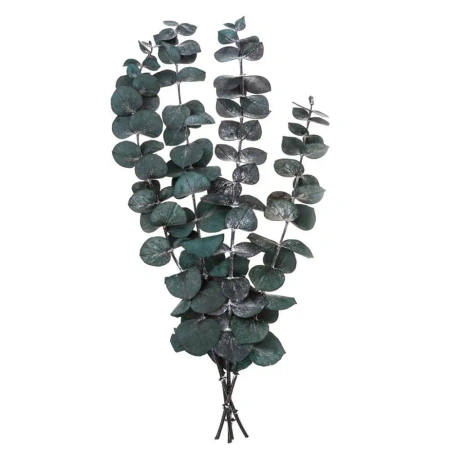 Eukaliptus baby blue 4 gałązki ok. 20cm zielony - Dalprint dpCraft