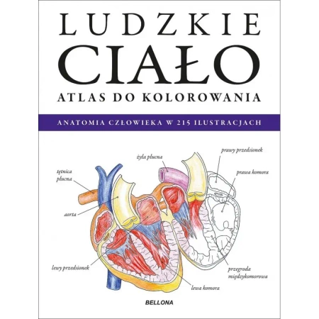 Ludzkie ciało. Atlas do kolorowania - Opracowanie zbiorowe