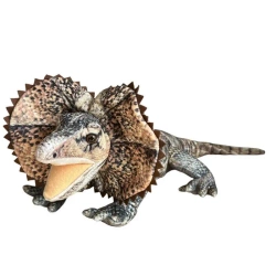 Agama 65cm - Dubi