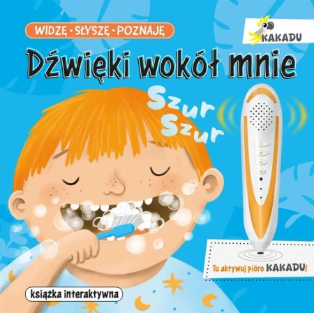 Widzę, słyszę, poznaję. Dźwięki wokół mnie - Magdalena Młodnicka, Beata Żurawska