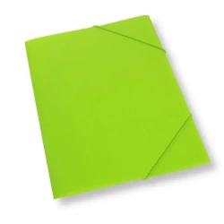 Teczka A4 z gumką plastikowa jasnozielona - Penword