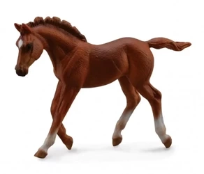 Źrebię Thorouhbred Foal Walking Chesnut - Collecta