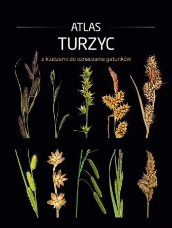 Atlas turzyc z kluczami do oznaczania gatunków - praca zbiorowa