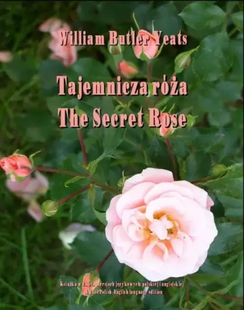 eBook Tajemnicza róża - William Butler Yeats mobi epub