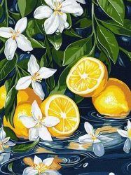 Malowanie po numerach - Cytryna w przekroju 30x40 - Ideyka