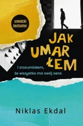Jak umarłem i zrozumiałem, że wszystko ma swój... - Niklas Ekdal