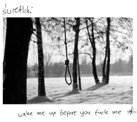 Wake Me Up Before You Fuck Me. CD