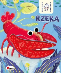 Rzeka. Dotykam poznaję - Joanna Wiśniewska