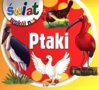 Świat wokół nas - Ptaki LIWONA - praca zbiorowa