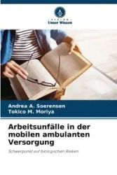 Arbeitsunfälle in der mobilen ambulanten Versorgung - A. Andrea Soerensen