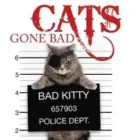 Cats Gone Bad - Scratching Kat