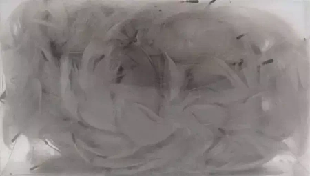 Szare piórka dekoracyjne - Pentacolor