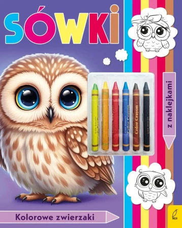Sówki. Kolorowanka z kredkami - Opracowanie zbiorowe
