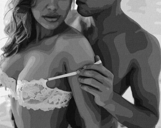 Malowanie po numerach - Pasjonalny dotyk 40x50cm - Ideyka