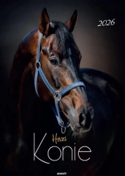 Kalendarz 2026 ścienny Konie - AVANTI