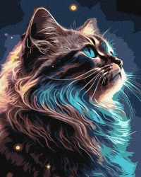 Malowanie po numerach - Magia kosmosu 40x50cm - Ideyka