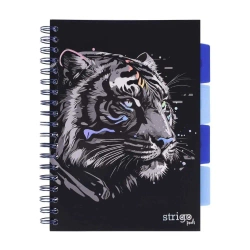 Kołozeszyt Pads B5/100K linia Tygrys - Strigo
