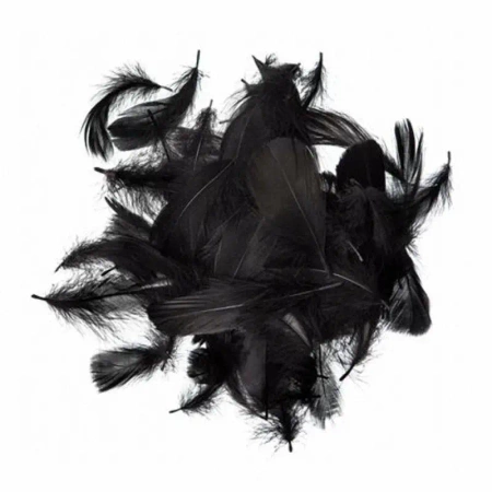 Piórka czarne 5-12cm 10g - Dalprint