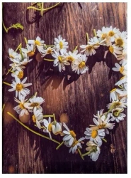 Fotoalbum kieszeniowy szyty Braider 2 - Fandy