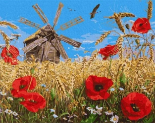 Malowanie po numerach - Nowa uprawa 40x50cm - Ideyka