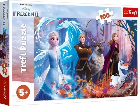 Puzzle 100 Magia Krainy Lodu TREFL