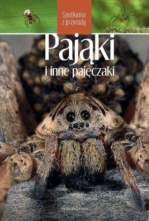 Pająki i inne pajęczaki. Spotkania z przyrodą - Bellmann Heiko