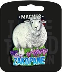 Magnes I love Poland Zakopane ILP-MAG-C-ZAK-45 - Pan Dragon
