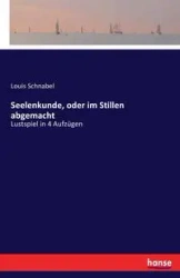 Seelenkunde, oder im Stillen abgemacht - Louis Schnabel