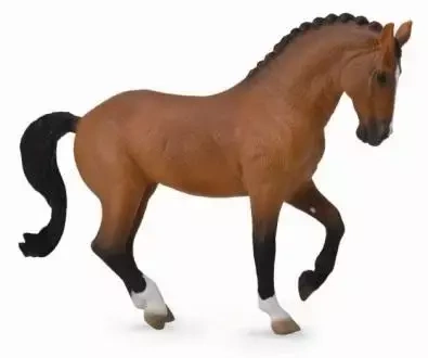 Klacz rasy Hanowerski Gniada - Collecta