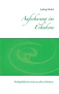 Aufschwung ins Erhabene - Weibel Ludwig