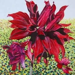 Karnet z kopertą Czarna dalia - Susan Entwistle