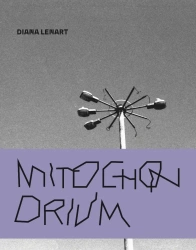 Mitochonrdium - Diana Lenart