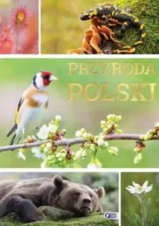 Przyroda Polski - praca zbiorowa