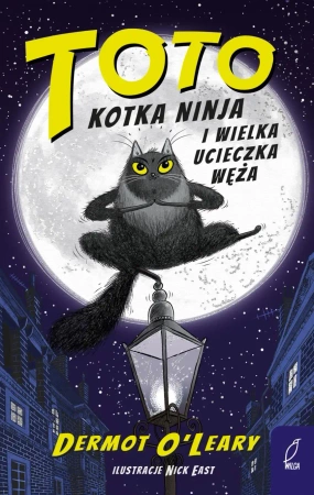 Toto. Kotka ninja i wielka ucieczka węża - Dermot O'Leary