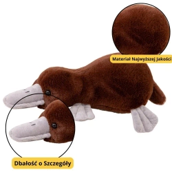 Maskotka Dziobak brązowy 32cm - Leantoys