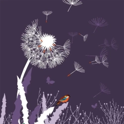 Karnet Swarovski kwadrat CL3404 Dmuchawiec - Clear Creations