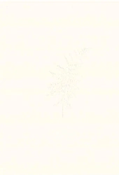 Kalcyt - Aleksandra Byrska