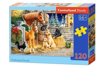 Puzzle 120 Gathering Friends CASTOR - Castorland