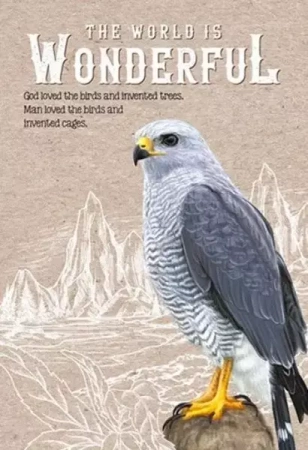 Notatnik ozdobny 143x210 64K kratka TW Sokół - Fresh