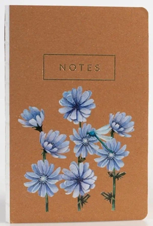Notes Cykoria - Niezapominajka