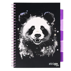 Kołozeszyt Strigo A4 Project Book Panda czarny kratka