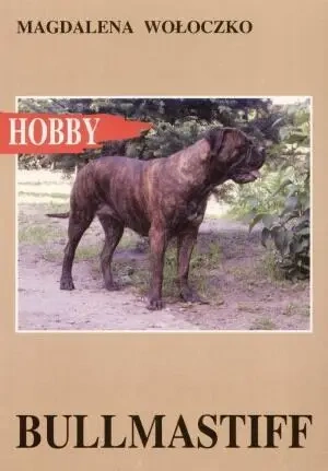 Bullmastiff - Magdalena Wołoczko